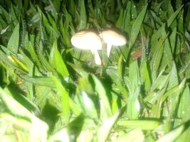 IMG_20231203_000535146.jpg