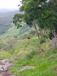 IMG-20231128-WA0026.jpg