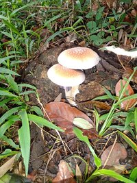 IMG-20231127-WA0047.jpg