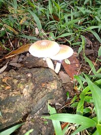 IMG-20231127-WA0089.jpg