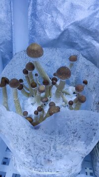IMG_20240103_175405.jpg