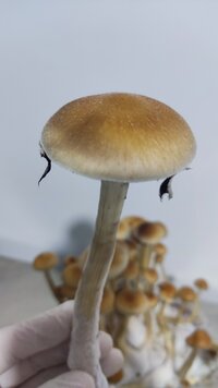 IMG_20240104_121935.jpg
