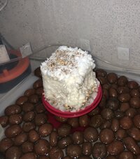 IMG_3097.jpeg