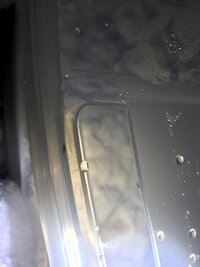 IMG_4186.JPG