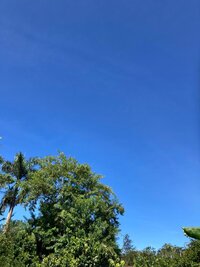sky.jpeg
