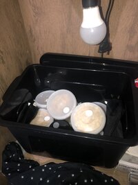 IMG_7766.jpeg