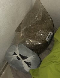 IMG_7770.jpeg