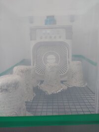 20240227_143039.jpg