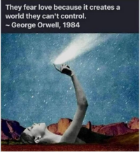 1710175048746.png
