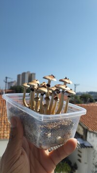 IMG_20240315_094405.jpg