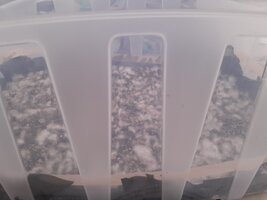 20240405_115954.jpg
