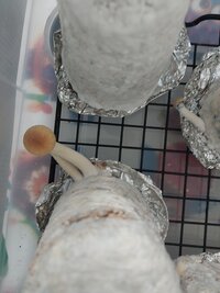 20240308_125701.jpg