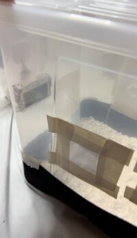 IMG_6761.jpeg