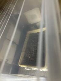 IMG_6759.jpeg