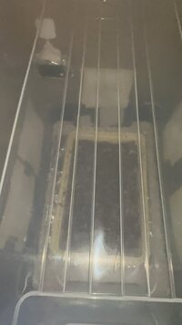 IMG_6757.jpeg