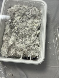 IMG_6756.jpeg