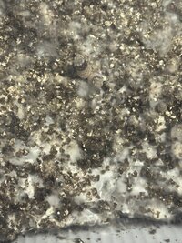 IMG_6954.jpeg