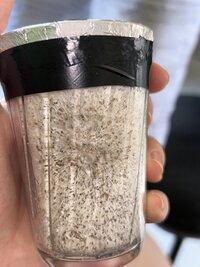 IMG_0243.jpeg IMG_0243.jpeg