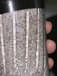 IMG_0242.jpeg IMG_0242.jpeg