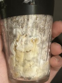 IMG_0447.jpeg IMG_0447.jpeg