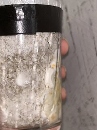 IMG_0452.jpeg