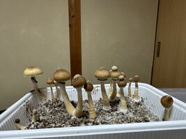 IMG_7096.jpeg