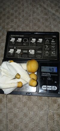 20240429_163245.jpg