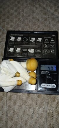 IMG-20240429-WA0014.jpg