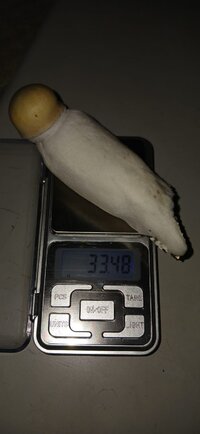 1000084450.jpg