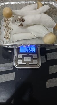1000084459.jpg