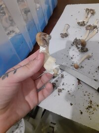 20240608_234030.jpg