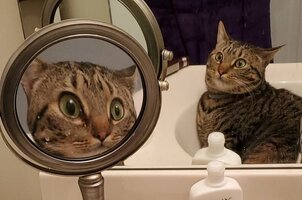 --2-3414-1584099351-8_dblbig.jpg --2-3414-1584099351-8_dblbig.jpg