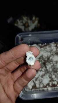 IMG_20240701_162636.jpg