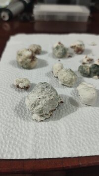 IMG_20240710_182823.jpg