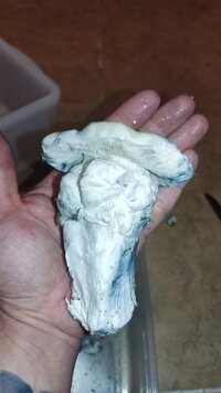 IMG_20240713_174951.jpg