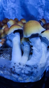 IMG_20240718_121707.jpg
