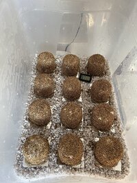 IMG_3170.jpeg