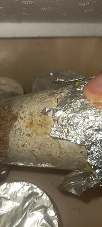 VideoCapture_20240809-122001.jpg