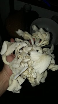 20190911_114543.jpg