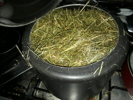20190408_132016.jpg