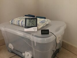 26 (2).jpeg