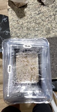IMG_3714.jpeg
