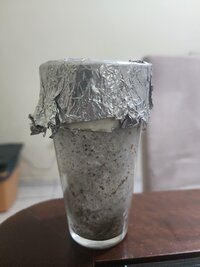 009 - Semana 02.jpg