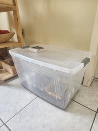 012 - Semana 03.jpg