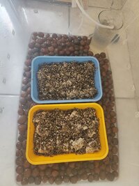 014 - Semana 03.jpg