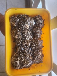017 -Semana 03.jpg