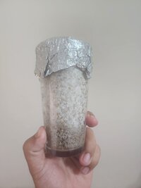04 - Semana 03.jpg