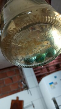 IMG_20250523_125709224.jpg