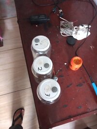 IMG_20250709_151348692.jpg