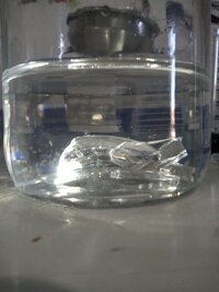 IMG_20250709_124546785.jpg